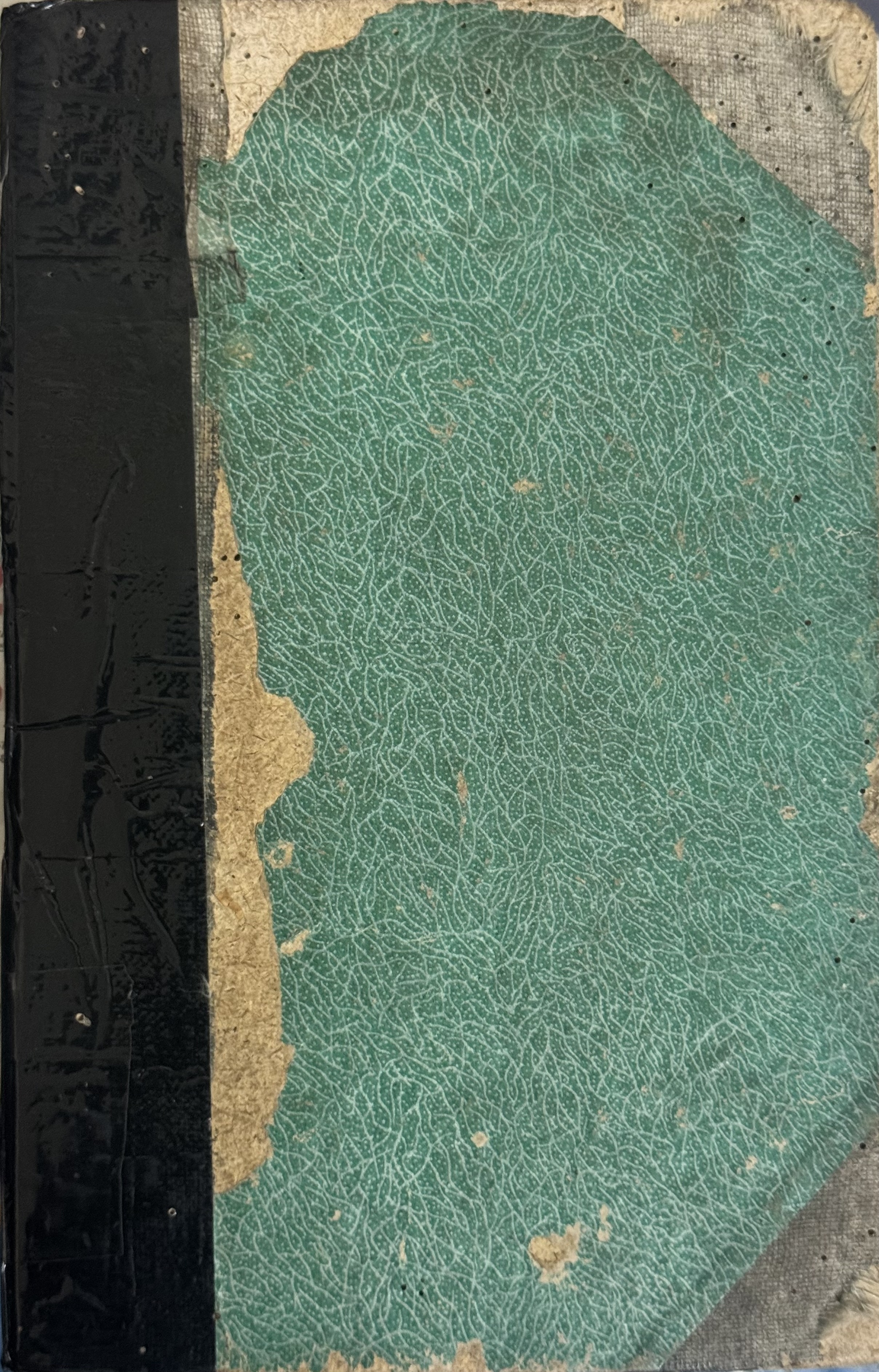 The Guide- Book Cover